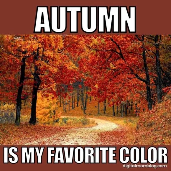 LONG sleeved tops, sweatshirts & sweaters - Picture 7 of 14